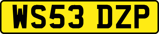 WS53DZP