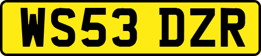 WS53DZR