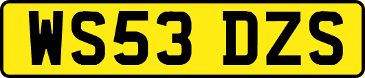 WS53DZS