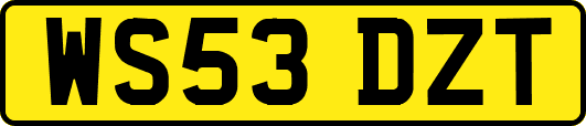 WS53DZT
