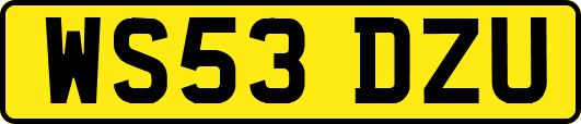WS53DZU