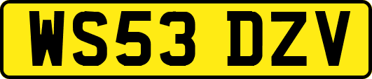 WS53DZV