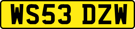 WS53DZW