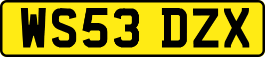 WS53DZX
