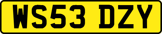 WS53DZY