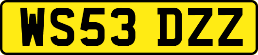 WS53DZZ