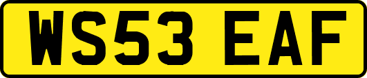 WS53EAF
