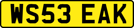 WS53EAK
