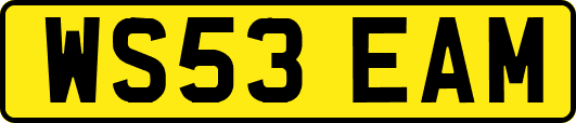 WS53EAM