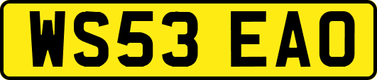 WS53EAO