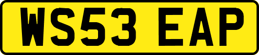 WS53EAP