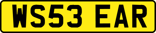 WS53EAR