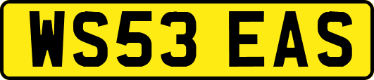 WS53EAS