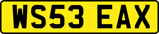 WS53EAX