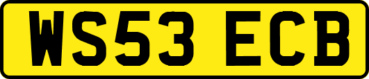 WS53ECB