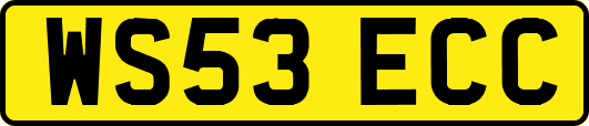 WS53ECC