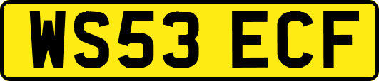 WS53ECF