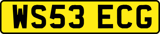 WS53ECG