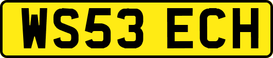 WS53ECH