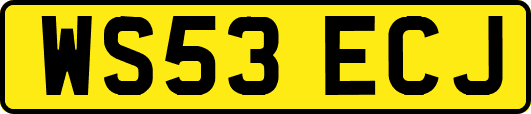 WS53ECJ