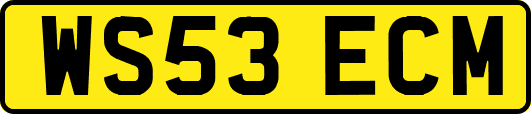 WS53ECM