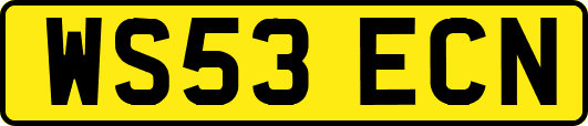 WS53ECN