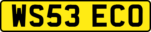 WS53ECO