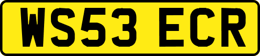 WS53ECR