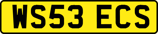 WS53ECS