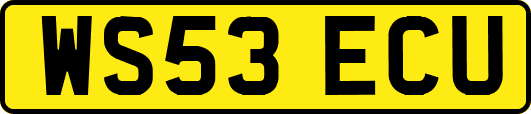 WS53ECU