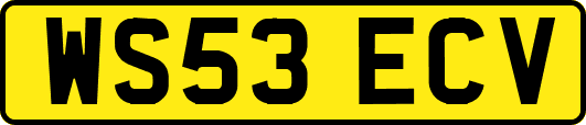 WS53ECV