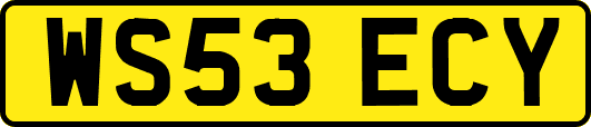WS53ECY