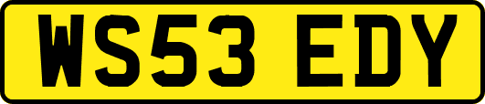WS53EDY