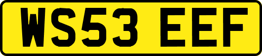 WS53EEF