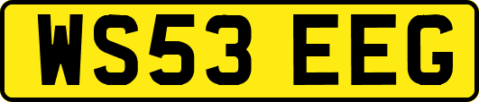 WS53EEG