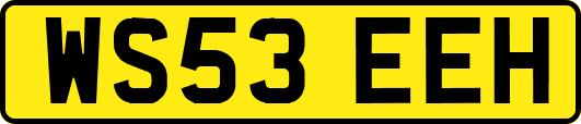 WS53EEH