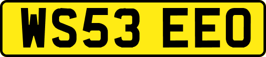 WS53EEO