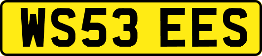 WS53EES