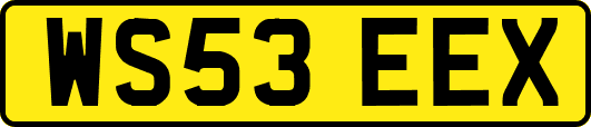 WS53EEX