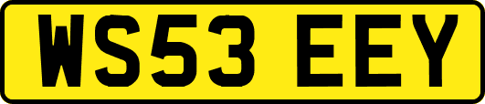 WS53EEY