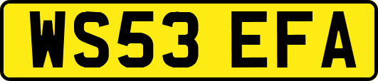 WS53EFA