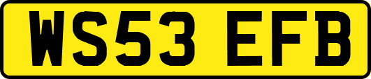 WS53EFB