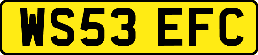 WS53EFC