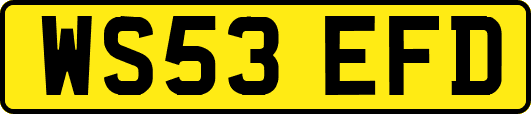 WS53EFD