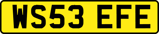 WS53EFE
