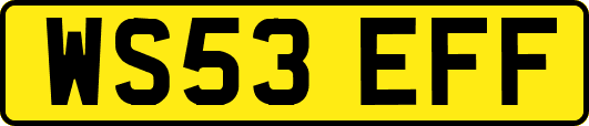 WS53EFF