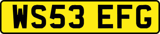 WS53EFG