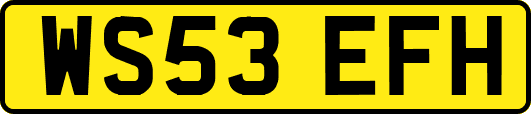 WS53EFH