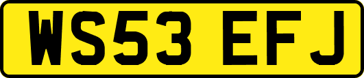 WS53EFJ