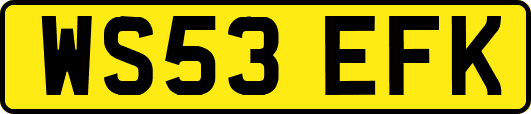 WS53EFK
